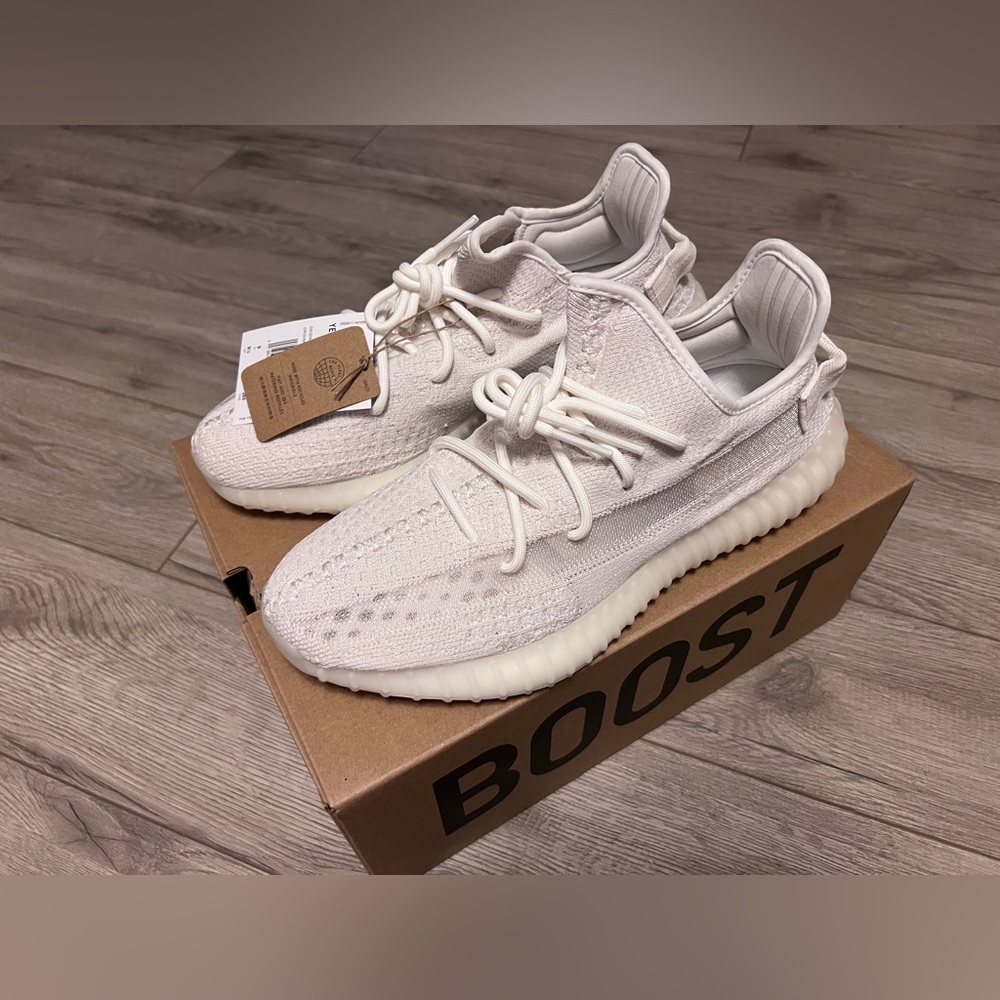 Yeezy boost 350 v2